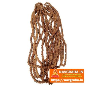 9 Mukhi Rudraksh Mala - Navgraha.in