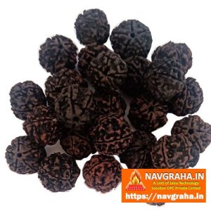 Panchmukhi 5 Mukhi Rudraksh Black Natural - Navgraha.in