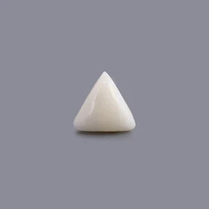 Moonga White Coral Natural Approx 3.5 Carat – Premium Safed Moonga Gemstone – Navgraha.in