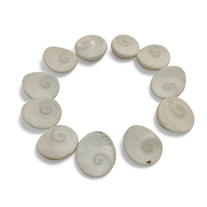 Gomati Chakra 11 Piece Set | Traditional Spiritual Stones – Navgraha.in