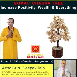 Gomati Chakra Vastu Tree | Attract Prosperity & Positive Energies – Navgraha.in
