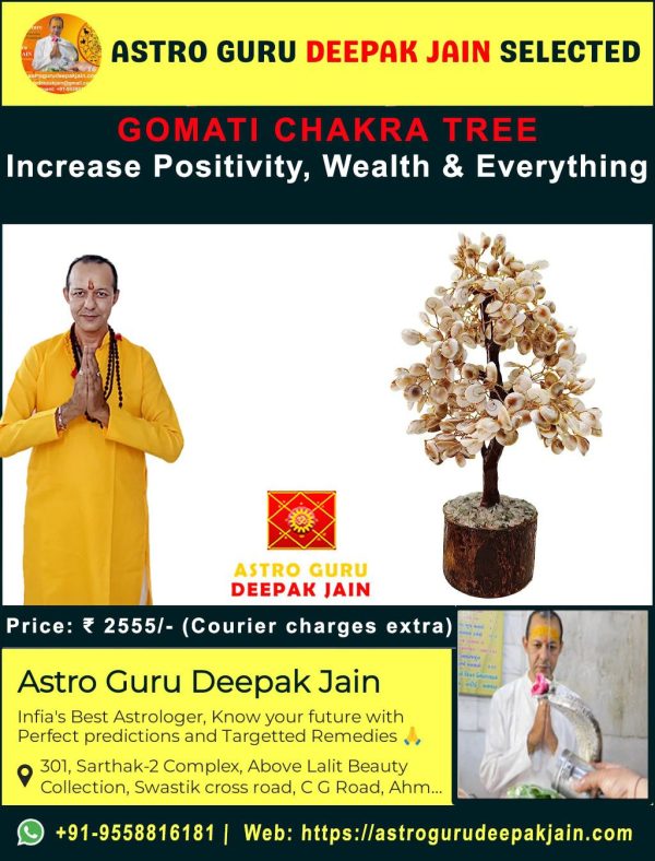 Gomati Chakra Vastu Tree | Attract Prosperity & Positive Energies – Navgraha.in
