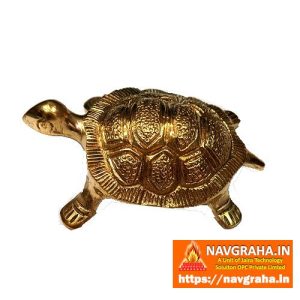Vastu Kachua/Turtle/Tortoise Pure Brass (4 inch) - Navgraha.in