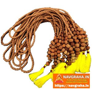 6 Mukhi Rudraksh Mala - Navgraha.in