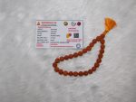5 Mukhi Rudraksh Mala 27 Beads Indonesia Navgraha Certified - Navgraha - Image 4