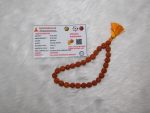 5 Mukhi Rudraksh Mala 27 Beads Indonesia Navgraha Certified - Navgraha