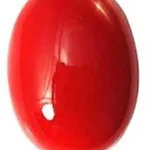 Red Coral Moonga Natural Japan Origin 8 Carat Approx – Premium Organic Coral Gemstone – Navgraha.in