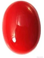 Red Coral Moonga Natural Japan Origin 8 Carat Approx – Premium Organic Coral Gemstone – Navgraha.in