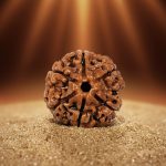 Rudraksha