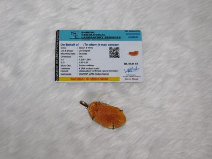 Shukra Mani Natural Shrifal Gemological Certified - Navgraha