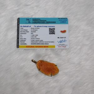 Shukra Mani Natural Shrifal Gemological Certified - Navgraha