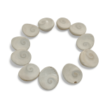 Gomati Chakra 11 Piece Set | Traditional Spiritual Stones – Navgraha.in