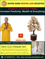 Gomati Chakra Vastu Tree | Attract Prosperity & Positive Energies – Navgraha.in