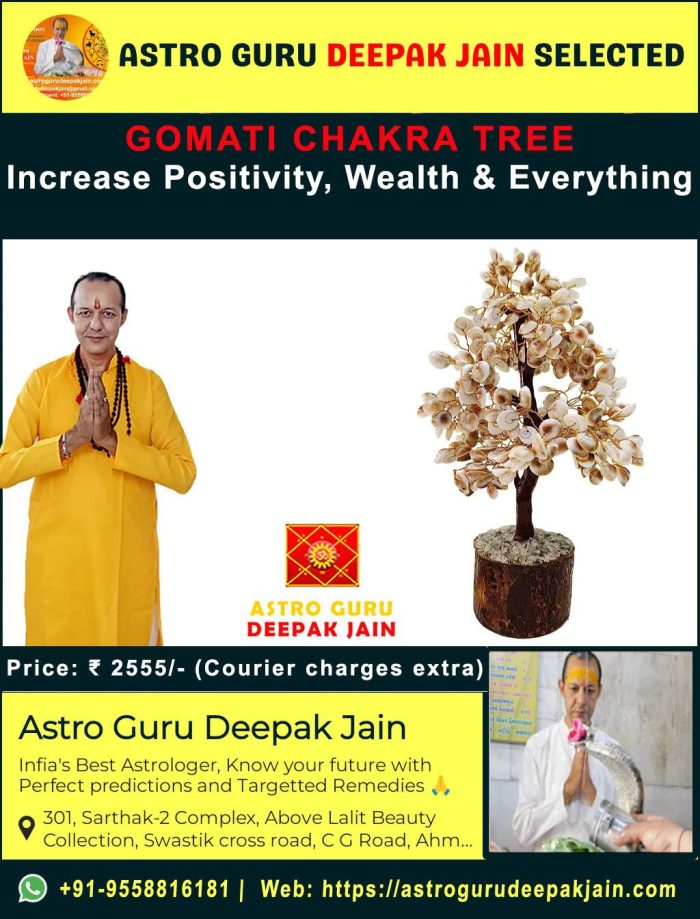 Gomati Chakra Vastu Tree | Attract Prosperity & Positive Energies – Navgraha.in - Image 1
