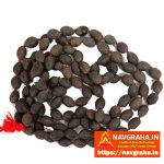 Kamal Gatta (Lotus Nuts) Mala (Sacred Lotus Seed Prayer Beads)