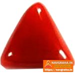 Red Coral Moonga Natural Triangle 10 Carat Approx – Premium Organic Coral Gemstone for Astrological Use – Navgraha.in - Image 2