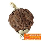 Panch Mukhi Rudraksh 1 Piece | Authentic Gemstone for Astrological Benefits