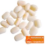Moonga White Coral Natural Approx 3.5 Carat – Premium Safed Moonga Gemstone – Navgraha.in - Image 3