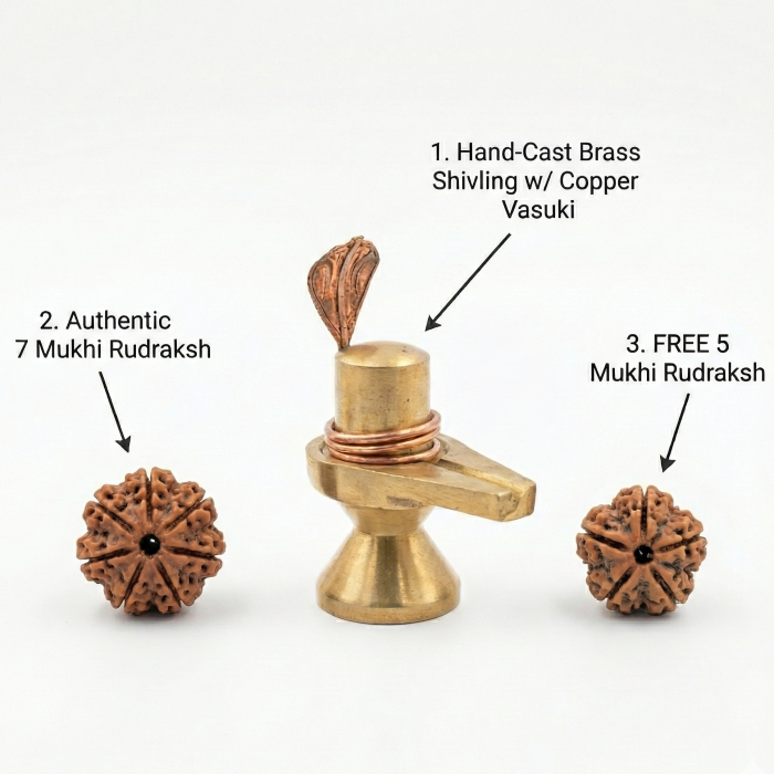 Divine Shiv Ji Pooja Kit: 2-Inch Brass Shivling with Copper Vasuki Naag + 7 Mukhi Rudraksha + FREE 5 Mukhi Rudraksha (Complete Worship Set) - Image 4