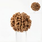 Authentic Ek Mukhi Rudraksha (Nepal Origin) + Lab Certificate: For Spiritual Awakening, Moksha & Supreme Consciousness (Single-Face Shiva Bead) - Image 2