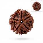 Authentic 5 Mukhi Rudraksha + Lab Certificate: For Daily Protection, Inner Peace & Overall Well-Being (Lord Shiva Bead) - Image 2