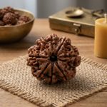 8 Mukhi Rudraksha – Ganesh Obstacle Remover Bead (Certified)
