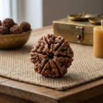 6 Mukhi Rudraksha + Lab Certificate– Kartikeya Courage & Confidence Bead (Certified)
