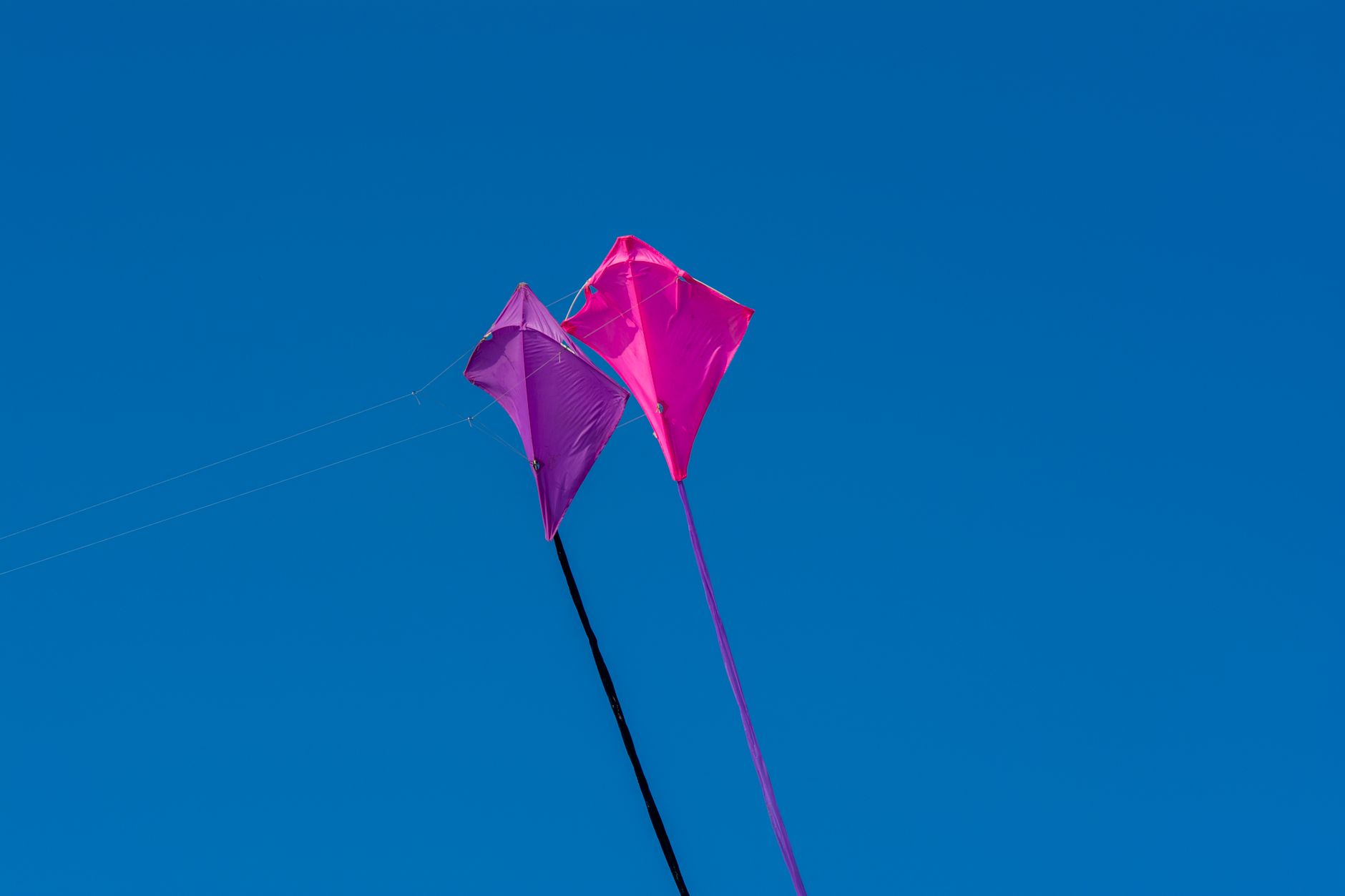 pink and purple kites on the background of clear blue sky