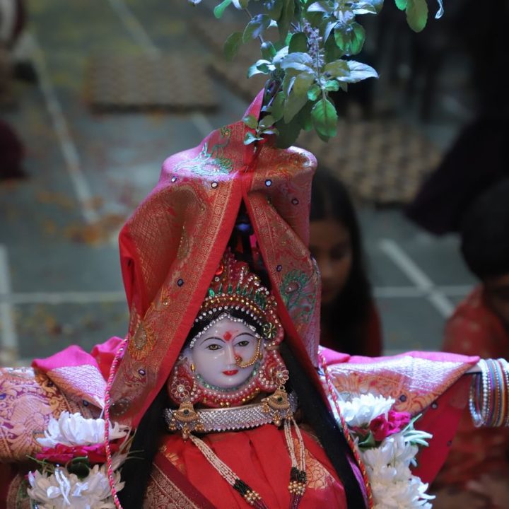 traditional tulsi plant worship in gujarat