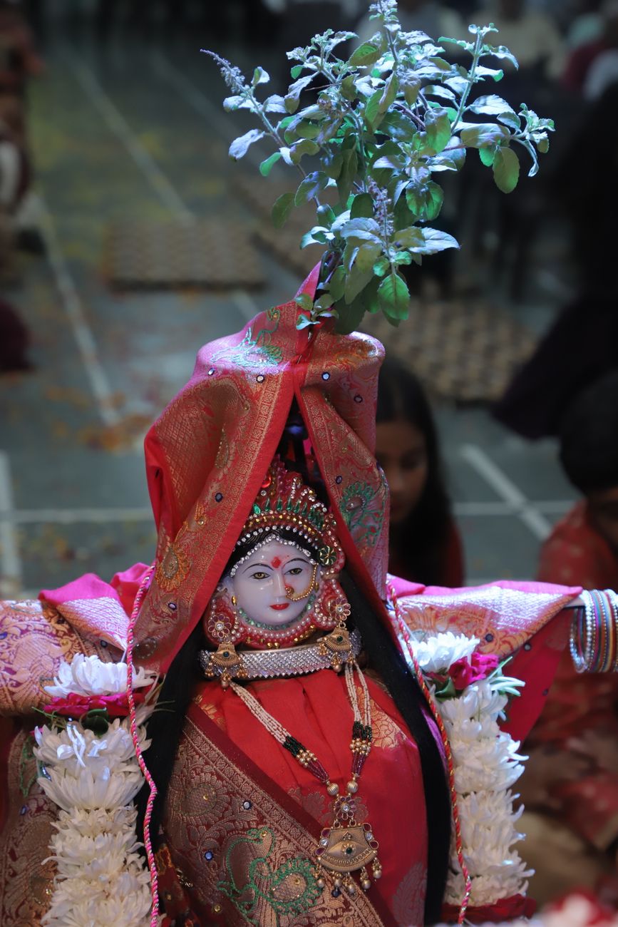 traditional tulsi plant worship in gujarat